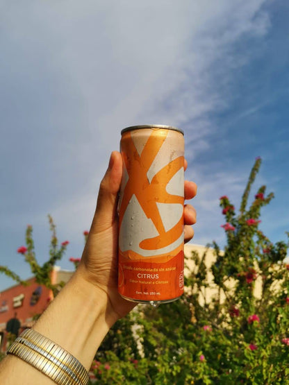 Bebida Deportiva/XS Energy 355ml 12pack