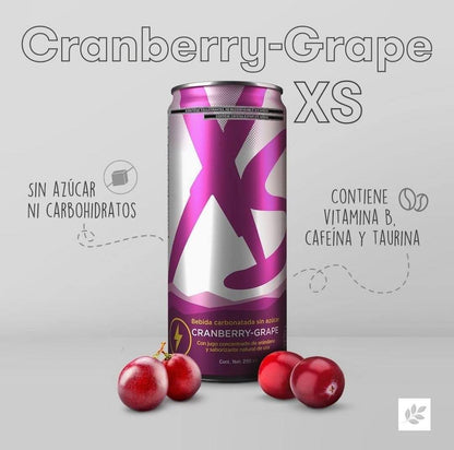 Bebida Deportiva/XS Energy 355ml 12pack